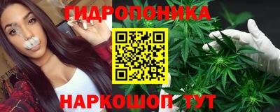 прущие грибы Нарткала