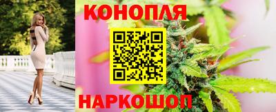 кокс Нальчик