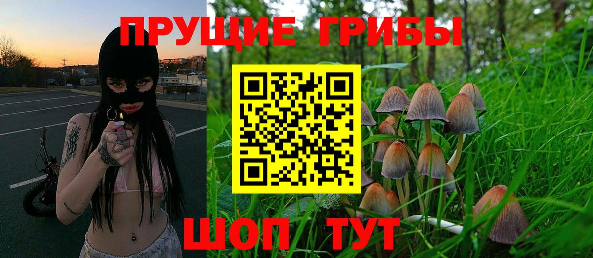 Псилоцибиновые грибы Psilocybine cubensis  Вход с VPN  Хасавюрт  Галлюциногенные грибы MAGIC MUSHROOMS 