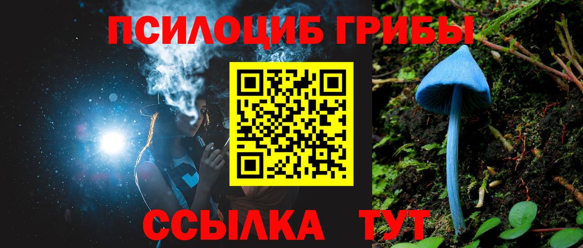 Псилоцибиновые грибы ЛСД Хасавюрт