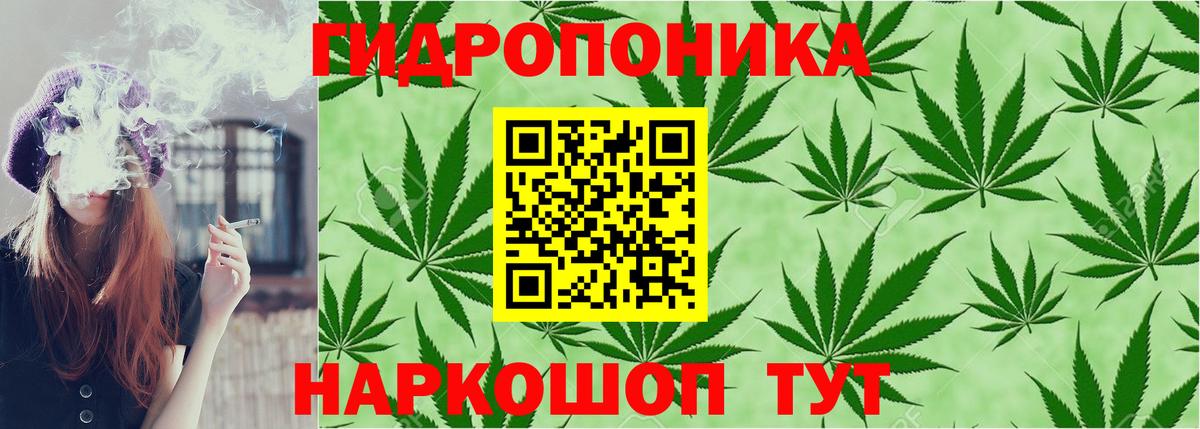 Канабис планчик  Бошки Шишки Bruce Banner  Шишки марихуана THC 21%  Хасавюрт  Вход с VPN  МАРИХУАНА тримм 